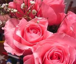 flor